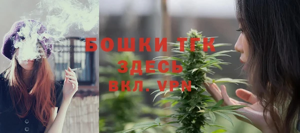 сатива Пестово