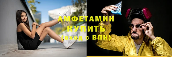 прущая мука Пересвет
