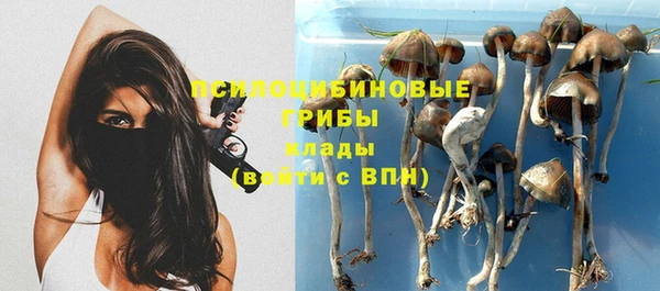 таблы Бутурлиновка
