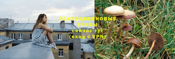 прущая мука Пересвет