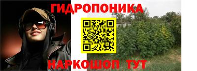 гидра Волгодонск