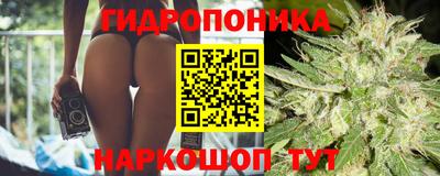 гидра Волгодонск