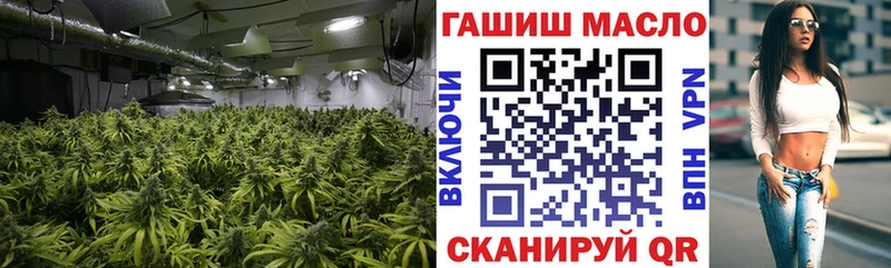 МЕГА Краснодар ТГК THC oil где найти